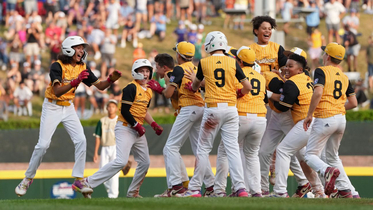 回归不仅提 回归不仅提