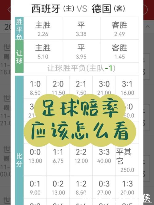 世界杯投注赔率计算及操作方法 世界杯投注赔率计算及操作方法